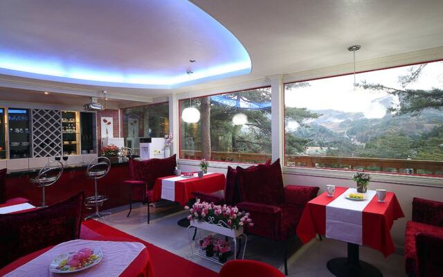 Loverstar In Forest Pension