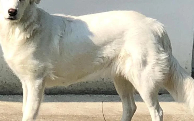 Le Vigne della Duchessa - Guest House