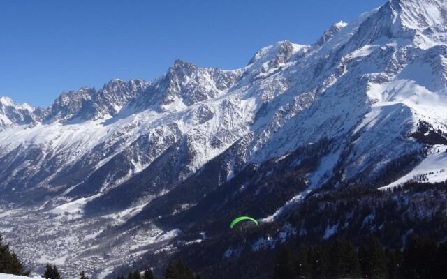 Studio Plein Sud. Vallée de Chamonix. Pieds de Pistes.
