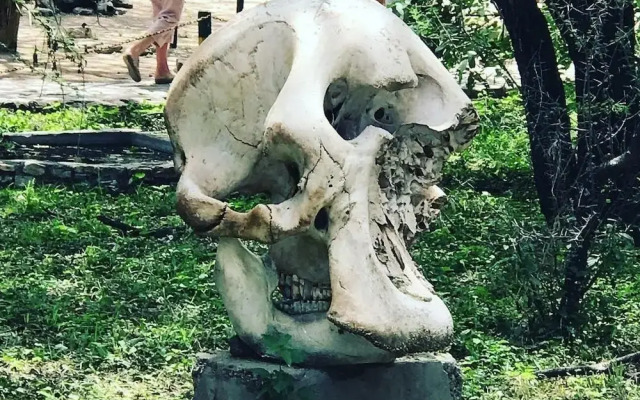 Campers and Backpakers Hostel