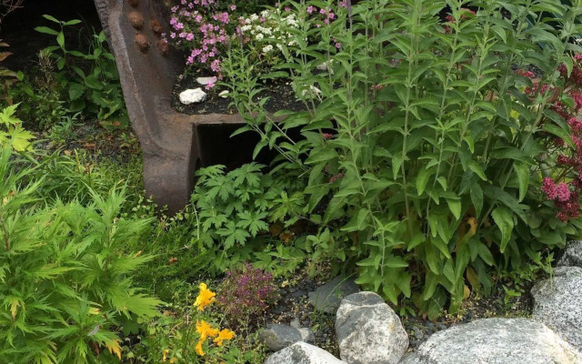 Twin Peaks Lodge and RV Park