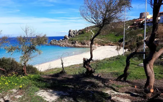 Mare 1