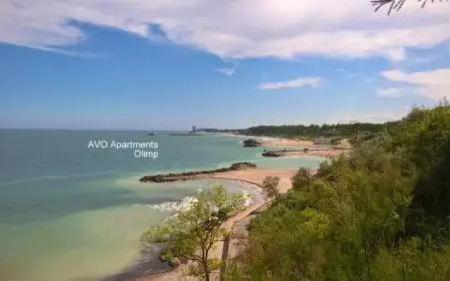 Avo Apartments