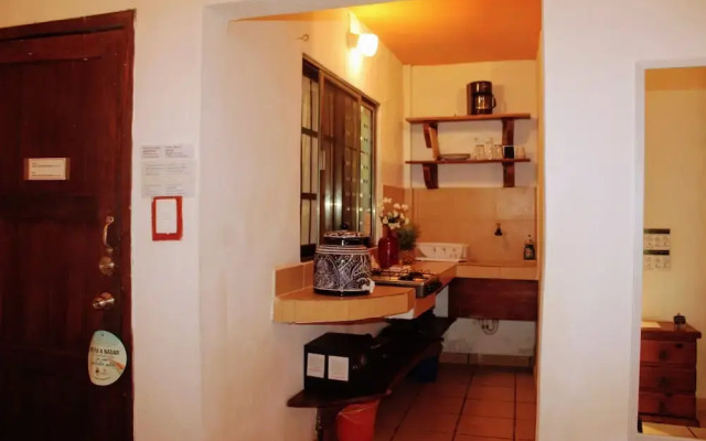 Pata de Perro Bacalar