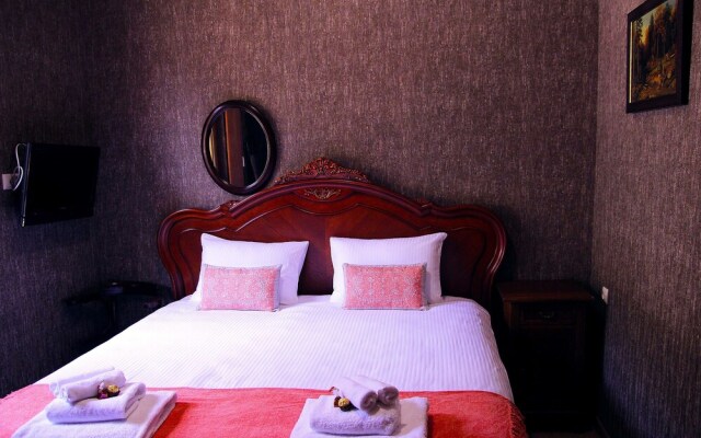 Old Tbilisi Mountain View