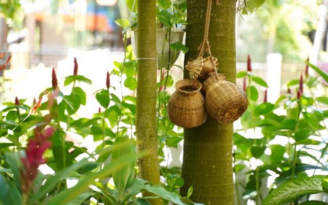 Longan Homestay