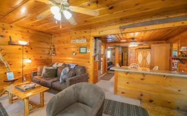Pine Forest Cabin