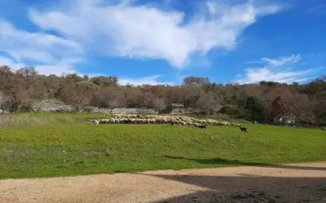 Trulli Panoramici