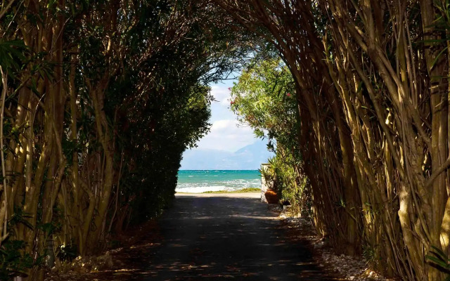 Alexandra On The Beach