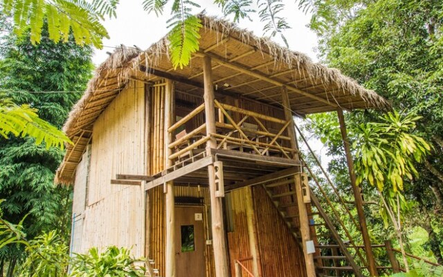 Bamboo Country Lodge