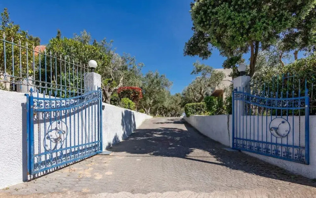 Astra Beach Studio 2