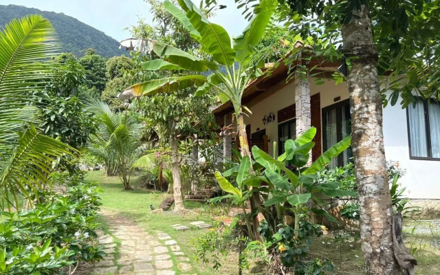 Freedom Jungle Resort