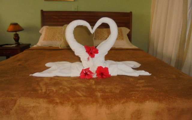Hotel Delfin Playa Bejuco