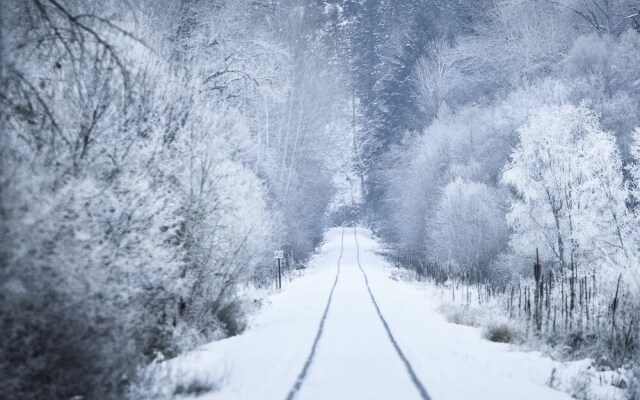 Barefoot Villas Cabin 1 Beaver w/ Hot tub