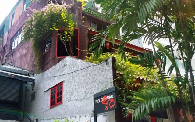 Rainforest Bed & Breakfast Hotel