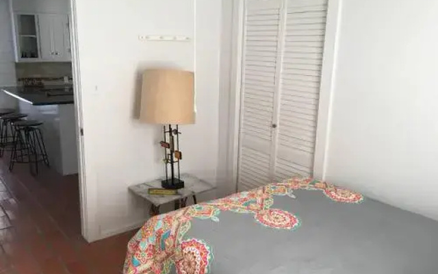 Sea Turtle 17LP Home