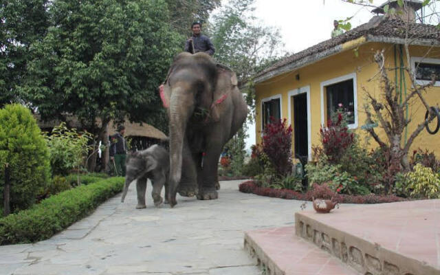 Hotel Sapana Village Lodge Chitwan