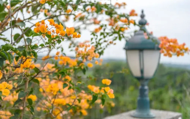 Yunlin Gukeng Da-Hu Villa B&B