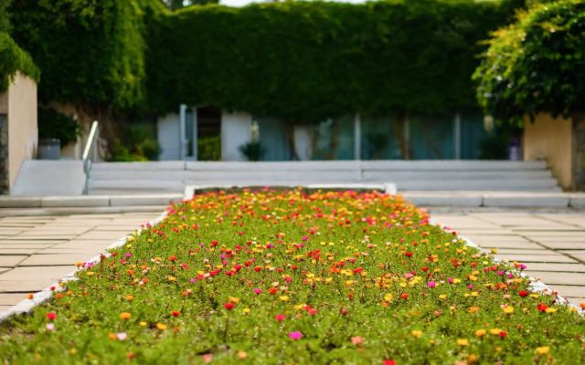 Крымское Приазовье