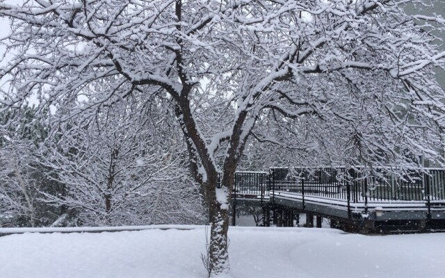 Wild Rose Manor Bed and Breakfast