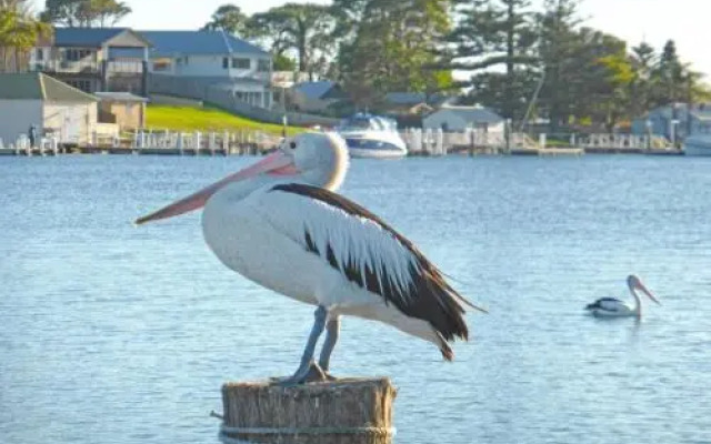 HAIS18G - Riverside Delight