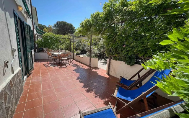 Azienda Agricola Sapereta