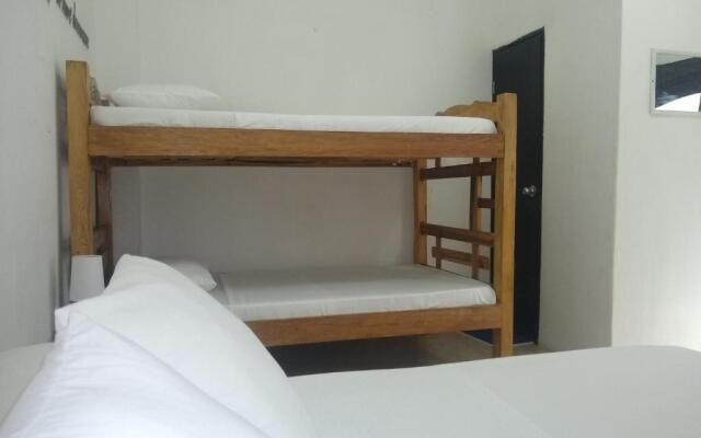 Basilica Hostal y Cafe - Hostel