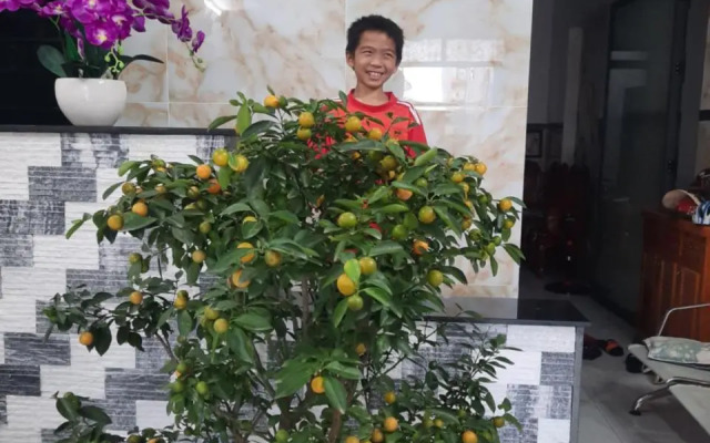 Nhà nghỉ Kim Phượng 1