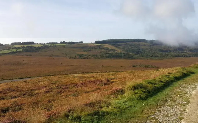 Sur La Route Des Myrtilles
