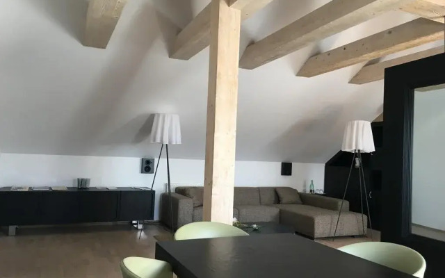 Hotel Villa Necas