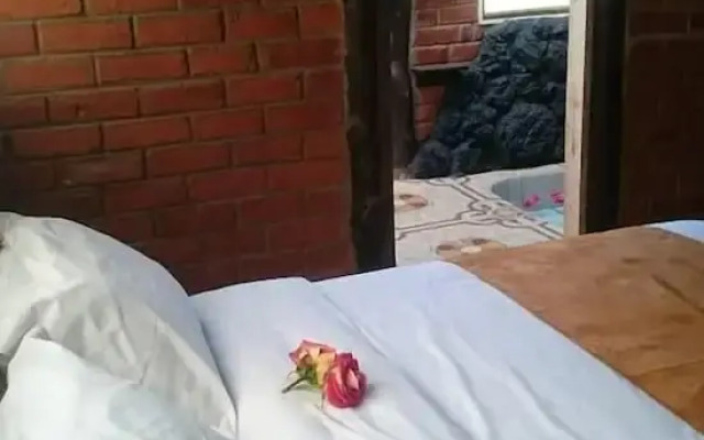 Rutun Orquídeas