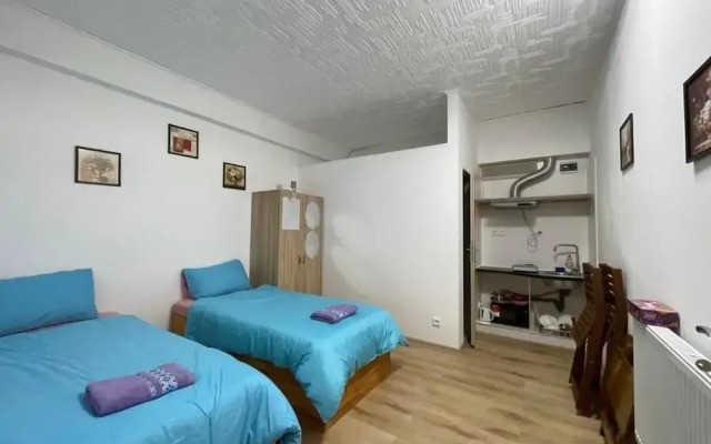 Cozy Studio in Zizkov, Prague