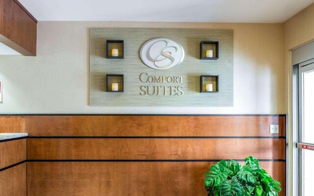 Comfort Suites North