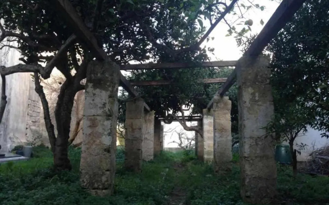 Appartamento Gelso Bianco