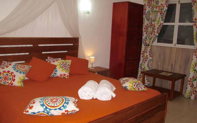 Casa Mapache B&B