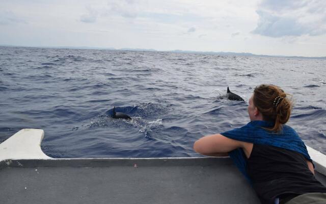 Sailfish Bay Surf & Big Game Fishing Lodge