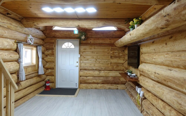 SSE Log Town
