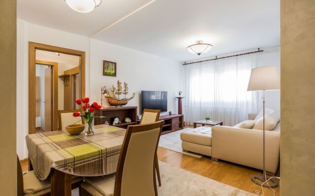 Apartment Downtown Zmaj Jovina