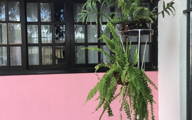 Espaço Jardim Curitiba