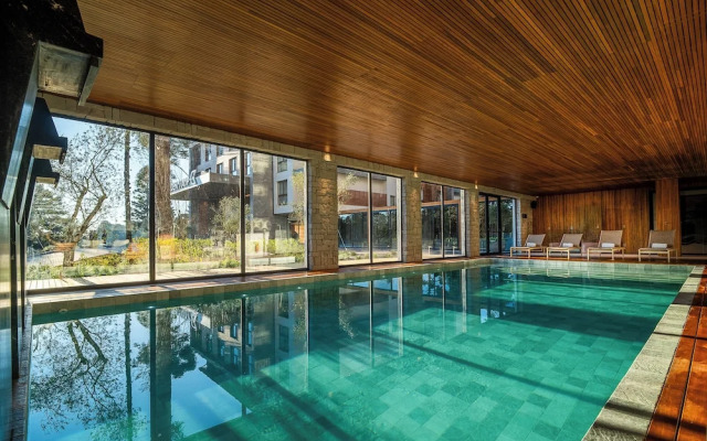 Golden Tulip Canela OFICIAL