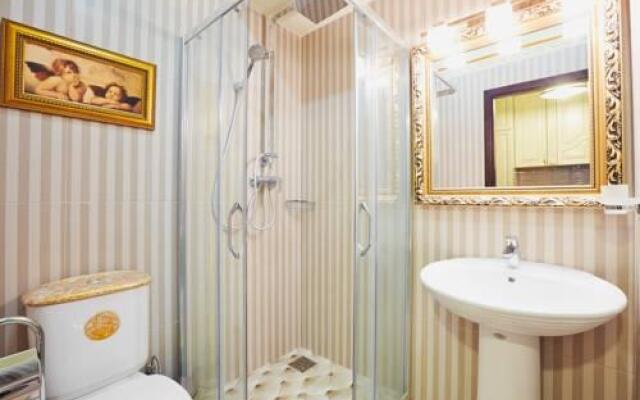 Apartments Lux in City Center Lviv