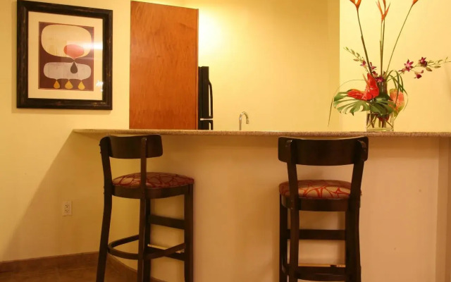 Holiday Inn Omaha Downtown - Waterpark by IHG