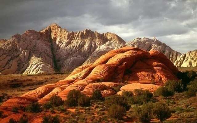 The Sunnyside Haven by RedAwning