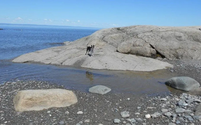 Gï¿½te Le Bouquet de marguerites