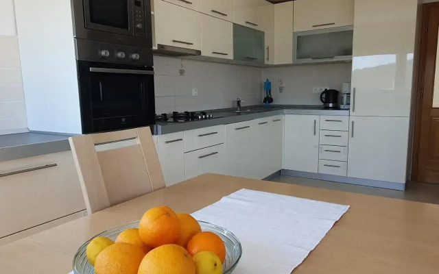Apartment Petar