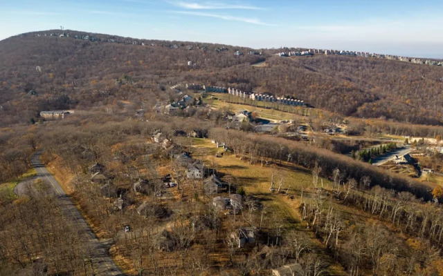 Wintergreen Retreat Jacuzzi Sauna dog Friendly