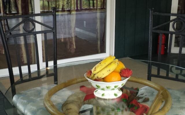 Aloha Crater Lodge and Lava Tube