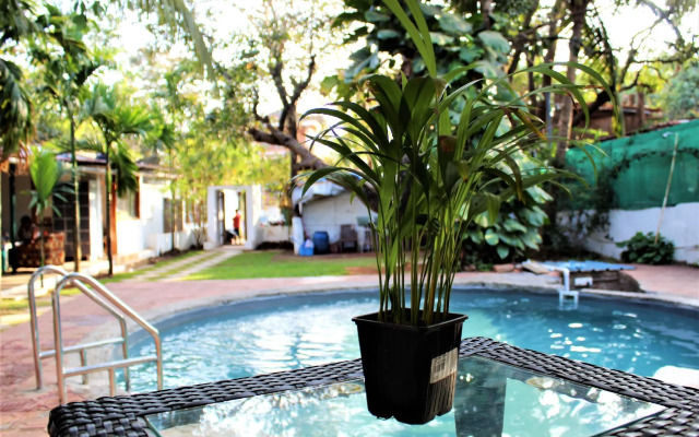 Coco's Resort