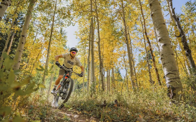 Chamonix Condominiums by Frias