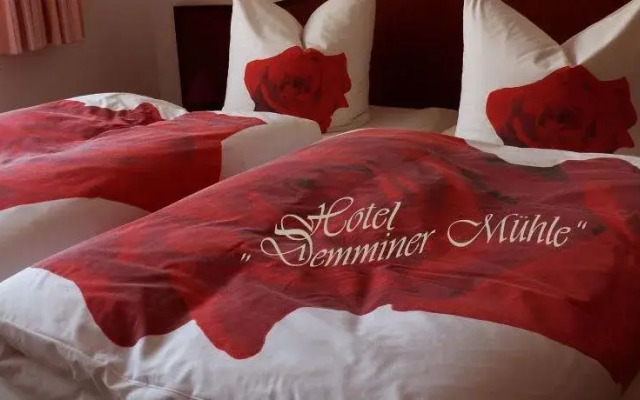 Hotel Demminer Mühle